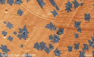 Graphene Production