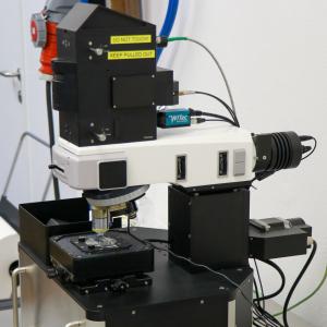 Raman spectrometer WITec alpha300 R